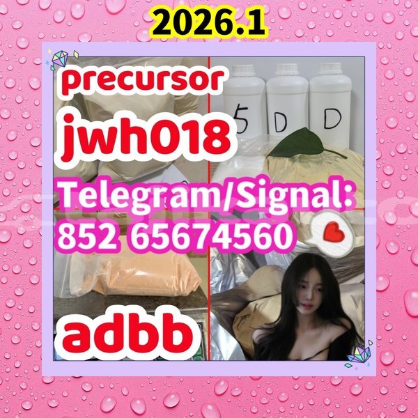 Big with watermark precursoradbb %e5%89%af%e6%9c%ac