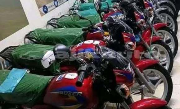 Buy Import Bajaj CT Other Bike in Ayni in Sughd Buy Import Bajaj CT Other Bike in Ayni in Sughd