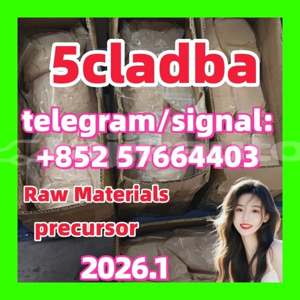 Big with watermark 51