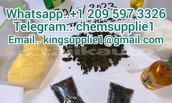 Buy New Adler Trumpf Junior Black Car in Ayni in Sughd Buy New Adler Trumpf Junior Black Car in Ayni in Sughd