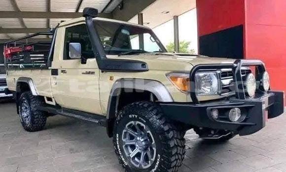 Buy Used Toyota Land Cruiser Beige Car in Khujand in Sughd
