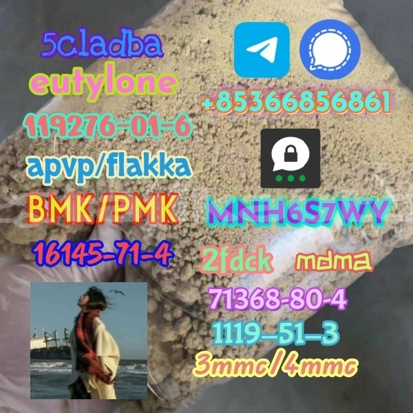 Big with watermark 1 7 