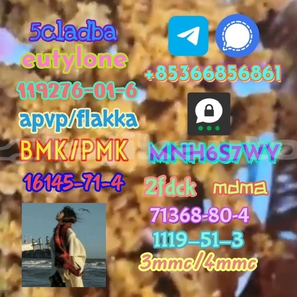 Big with watermark 1 16 