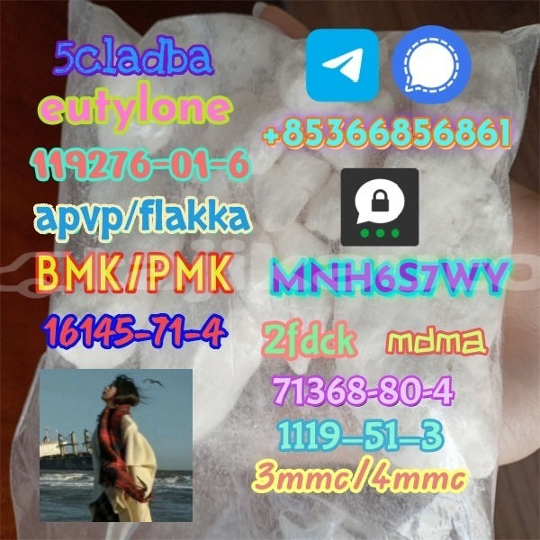 Big with watermark 1 6 