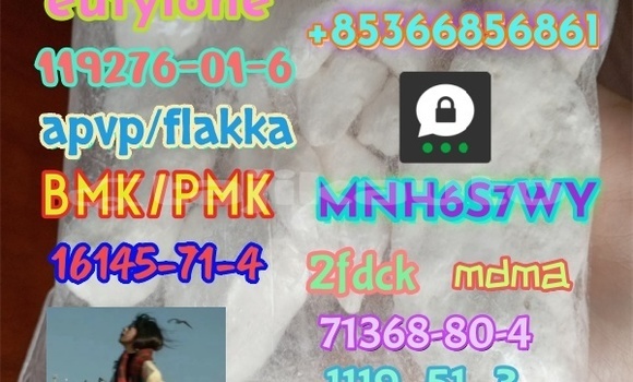 Buy CAS 119276-01-6 in Chorku in Sughd Buy CAS 119276-01-6 in Chorku in Sughd