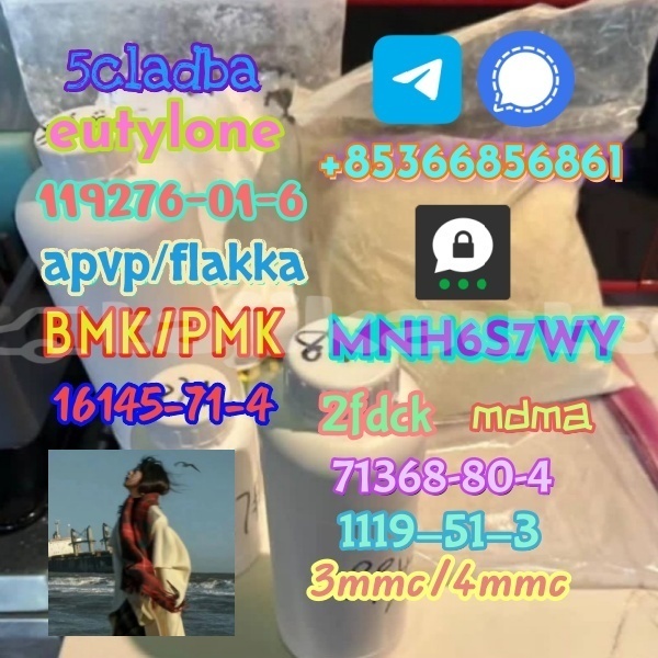 Big with watermark 1 11 