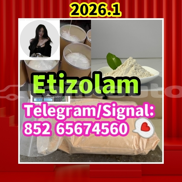 Big with watermark etizolam %e5%89%af%e6%9c%ac