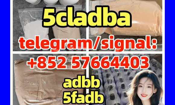 Medium with watermark 511