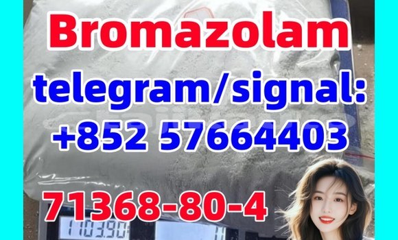71368-80-4 Brozolam 