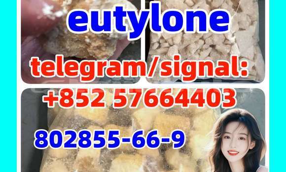 Medium with watermark e5