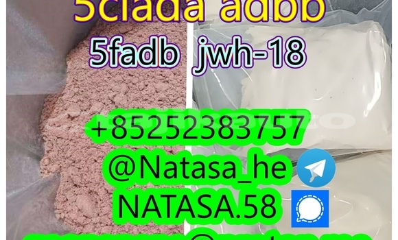 Medium with watermark 2