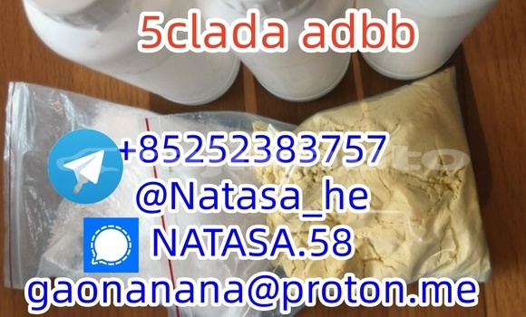 Medium with watermark 3