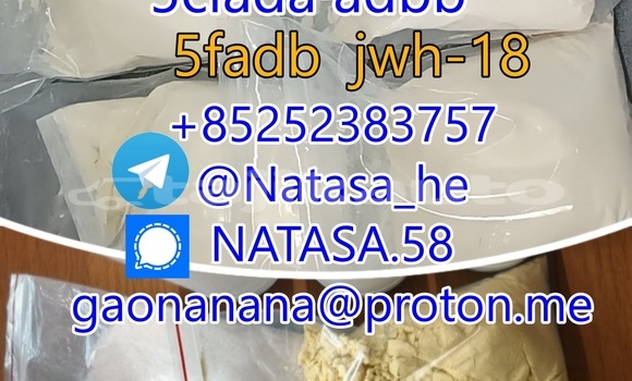 Medium with watermark 4