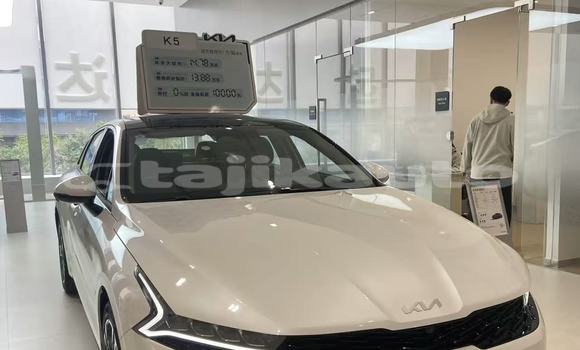 Buy New Kia K5 White Car in Dushanbe in Dushanbe Buy New Kia K5 White Car in Dushanbe in Dushanbe