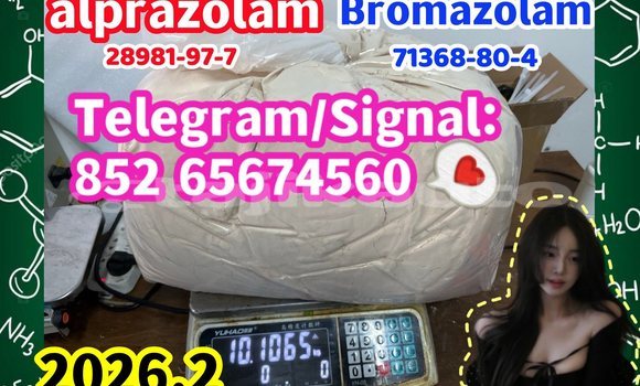 Medium with watermark alpbro1 %e5%89%af%e6%9c%ac