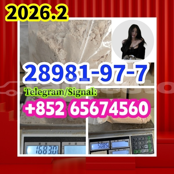 Big with watermark 28981977 %e5%89%af%e6%9c%ac1