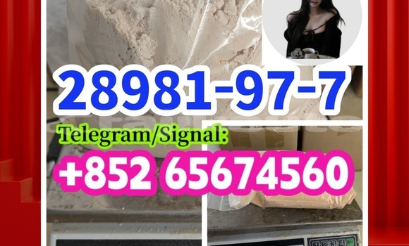 Medium with watermark 28981977 %e5%89%af%e6%9c%ac1