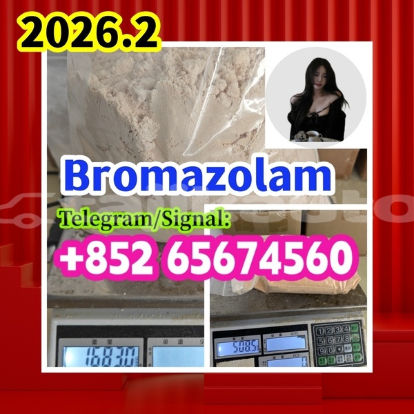 Big with watermark bro %e5%89%af%e6%9c%ac