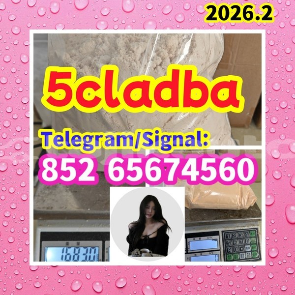 Big with watermark 5cladba1 %e5%89%af%e6%9c%ac