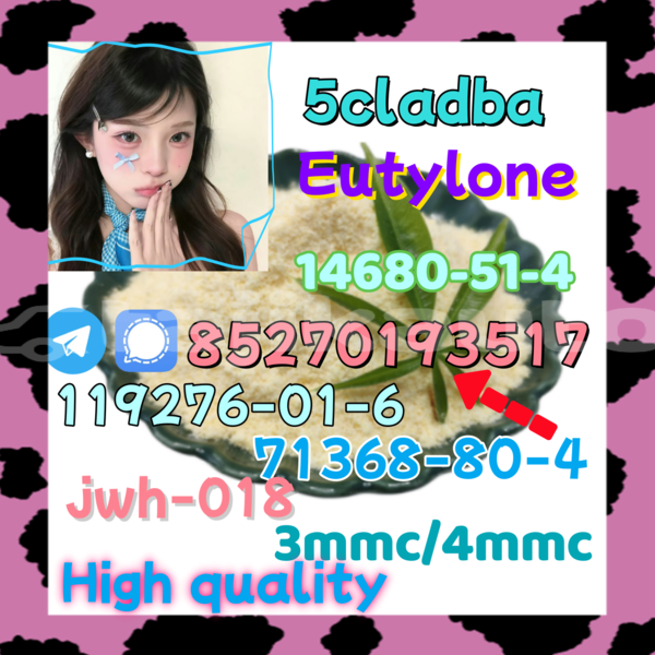 Big with watermark 12 1