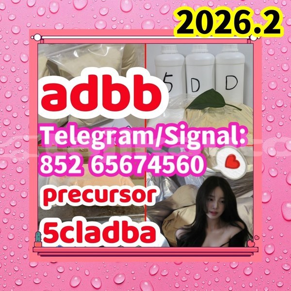 Big with watermark adbb13 %e5%89%af%e6%9c%ac