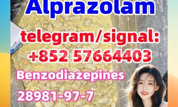 Medium with watermark a1