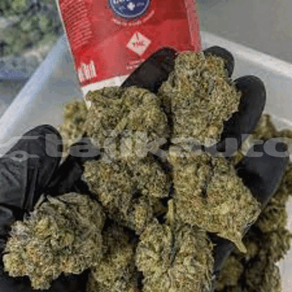 Big with watermark images