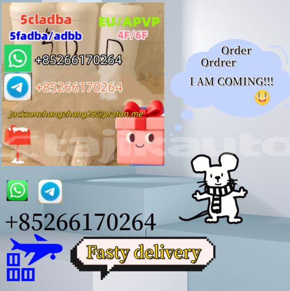 Big with watermark amc hornet khatlon farkhor 7731