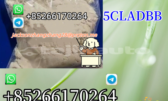 Buy Used Alpina B4 Other Car in Dushanbe in Dushanbe