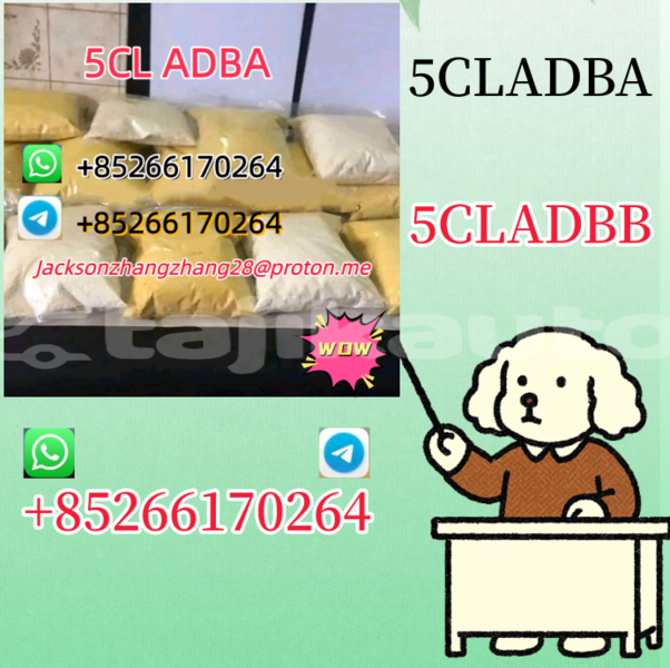 Big with watermark alpine gta khatlon kulob 7747