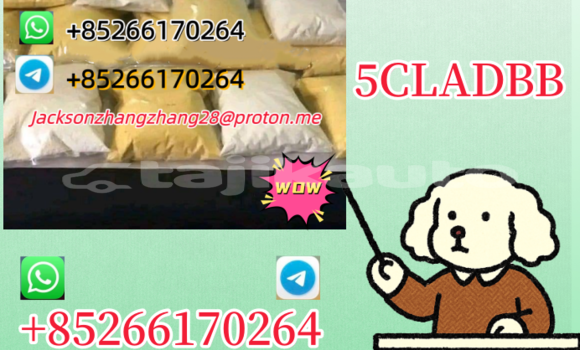 Buy Used Alpine GTA Red Car in Kulob in Khatlon