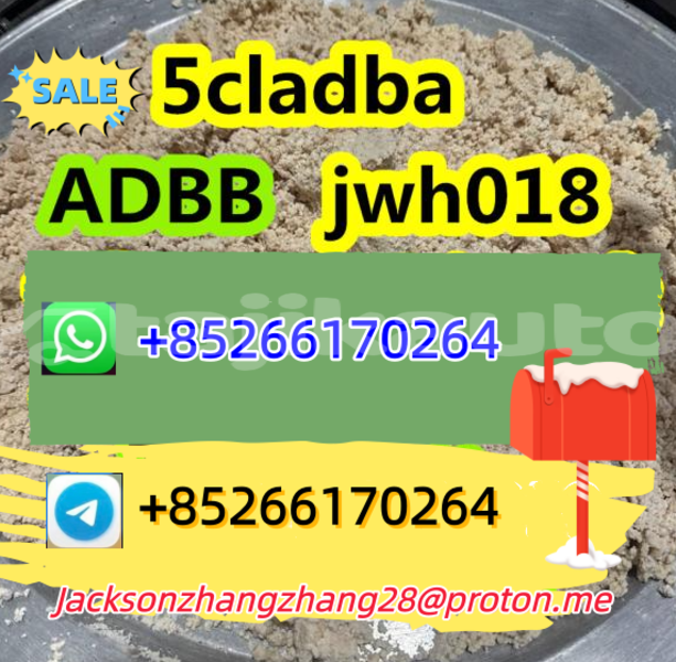 Big with watermark aro 10 karotegin rogun 7748