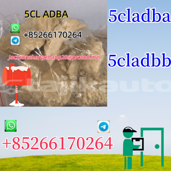 Big with watermark baltijas dzips bd 1322 dushanbe dushanbe 7749