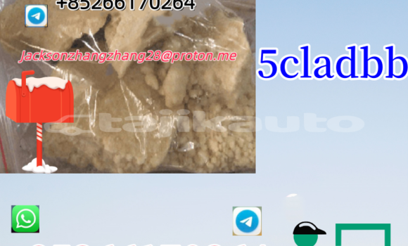 Buy Used Baltijas Dzips BD-1322 Red Car in Dushanbe in Dushanbe