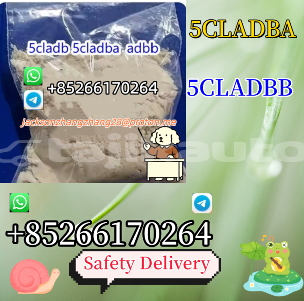 Big with watermark bertone freeclimber dushanbe dushanbe 7751