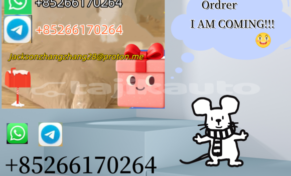 Buy Used Bajaj Qute Brown Car in Chkalov in Sughd