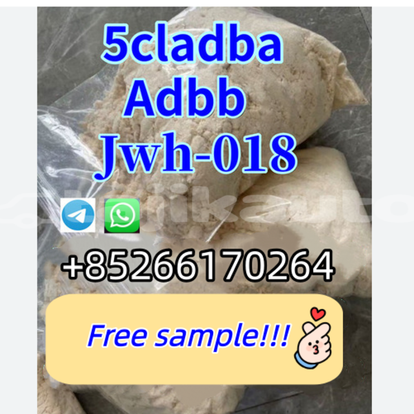 Big with watermark adler trumpf junior sughd shurob 7866