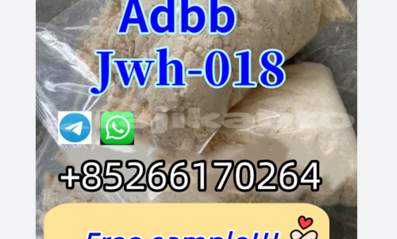 Buy New Adler Trumpf Junior White Car in Shurob in Sughd