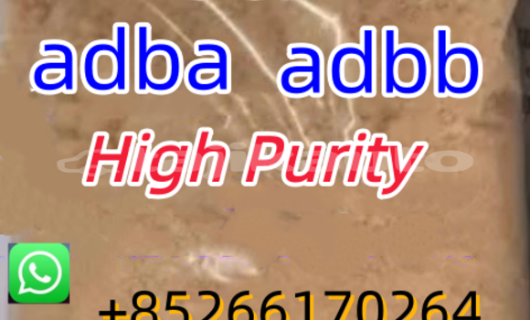 Buy New Alfa Romeo 155 Red Car in Hisor in Karotegin