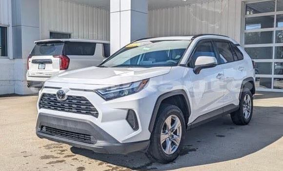 Buy Used Toyota RAV4 White Car in Chkalov in Sughd