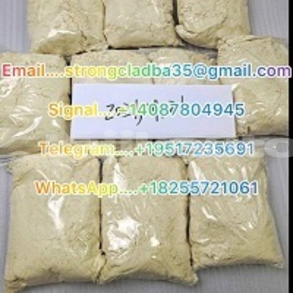 Big with watermark big dog ridgeback sughd buston 7947