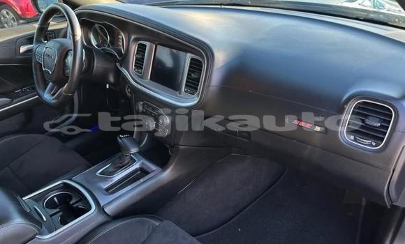 Buy Used Isuzu FTR 850 Blue Truck in Dushanbe in Dushanbe Buy Used Isuzu FTR 850 Blue Truck in Dushanbe in Dushanbe