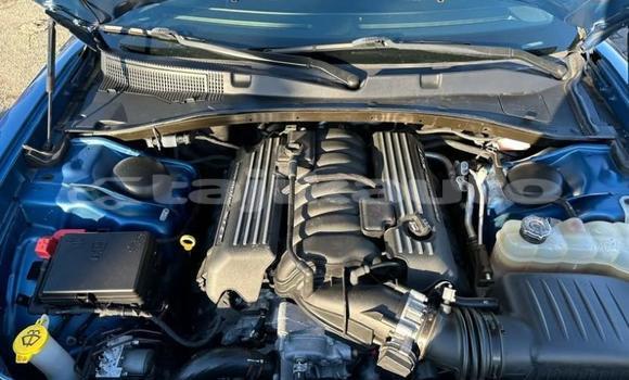 Buy Used Isuzu FTR 850 Blue Truck in Dushanbe in Dushanbe Buy Used Isuzu FTR 850 Blue Truck in Dushanbe in Dushanbe