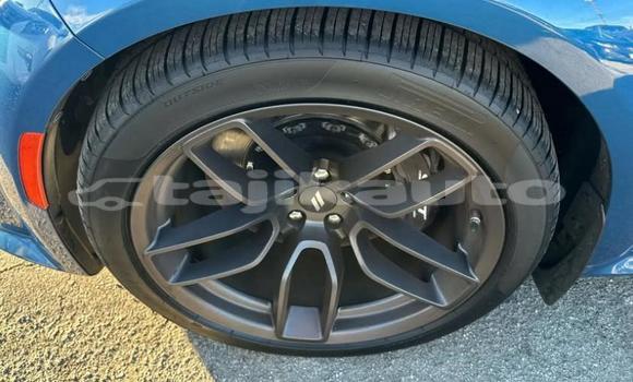 Buy Used Isuzu FTR 850 Blue Truck in Dushanbe in Dushanbe Buy Used Isuzu FTR 850 Blue Truck in Dushanbe in Dushanbe