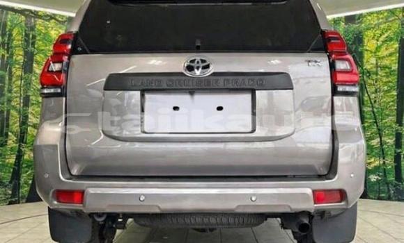 Buy Used Toyota Land Cruiser Prado Black Car in Dushanbe in Dushanbe Buy Used Toyota Land Cruiser Prado Black Car in Dushanbe in Dushanbe