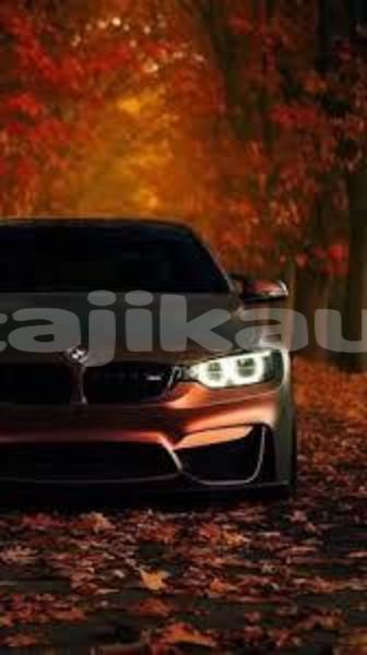 Big with watermark acura el sughd ayni 8694