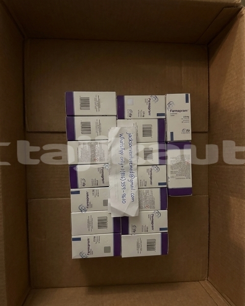 Big with watermark 1770889048232