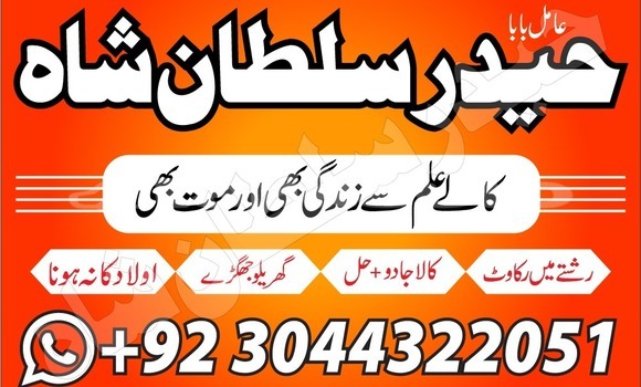 Buy Used Acura Integra Brown Car in Ayni in Sughd