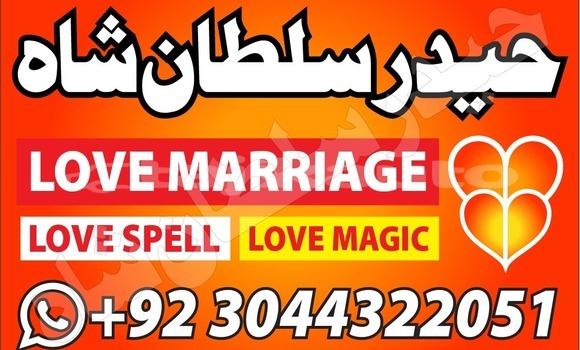 Buy Used Acura Integra Brown Car in Ayni in Sughd Buy Used Acura Integra Brown Car in Ayni in Sughd