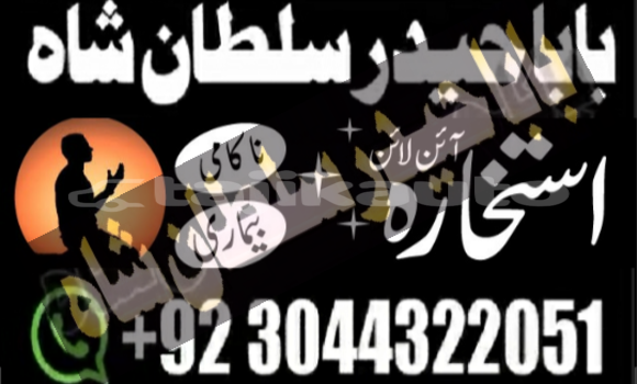 Buy Used Alpina B5 Brown Car in Asht in Sughd